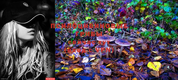 марки lsd Алексеевка