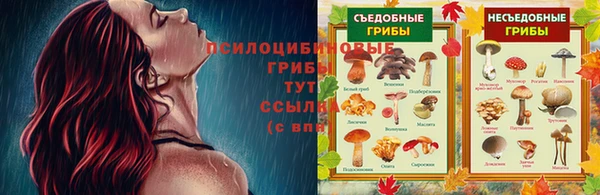 марки lsd Алексеевка