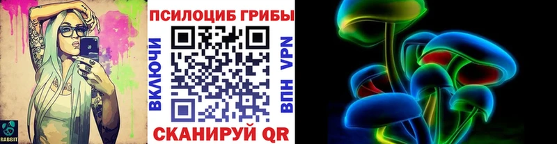 mega как войти  Сыктывкар  Псилоцибиновые грибы Cubensis 